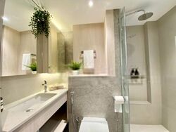 Cavenagh House (D9), Apartment #573373841